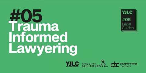 Trauma Informed Lawyering – Youth Justice| Seminar and launch of Legal Guide